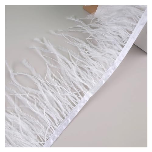 10 Meter Straußenfedern, Fransenbesatz for Handarbeiten und Kunsthandwerk, Federkleid-Zubehör, Federn, Fransen for Kleidung für Bastelarbeiten Hochzeit Party Dekoration(Pure White) von ZYFHYU
