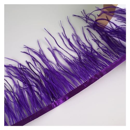 10 Meter Straußenfedern, Fransenbesatz for Handarbeiten und Kunsthandwerk, Federkleid-Zubehör, Federn, Fransen for Kleidung für Bastelarbeiten Hochzeit Party Dekoration(Purple) von ZYFHYU