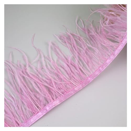 10 Meter Straußenfedern, Fransenbesatz for Handarbeiten und Kunsthandwerk, Federkleid-Zubehör, Federn, Fransen for Kleidung für Bastelarbeiten Hochzeit Party Dekoration(Purple pink) von ZYFHYU
