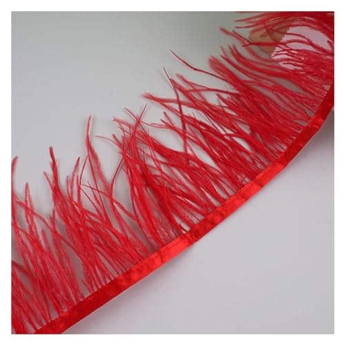 10 Meter Straußenfedern, Fransenbesatz for Handarbeiten und Kunsthandwerk, Federkleid-Zubehör, Federn, Fransen for Kleidung für Bastelarbeiten Hochzeit Party Dekoration(Red) von ZYFHYU