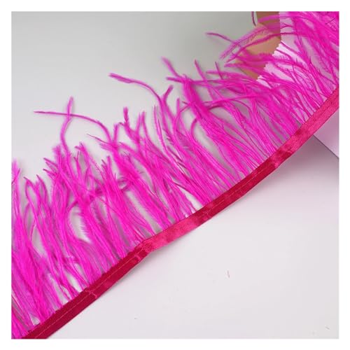 10 Meter Straußenfedern, Fransenbesatz for Handarbeiten und Kunsthandwerk, Federkleid-Zubehör, Federn, Fransen for Kleidung für Bastelarbeiten Hochzeit Party Dekoration(Red Purple) von ZYFHYU