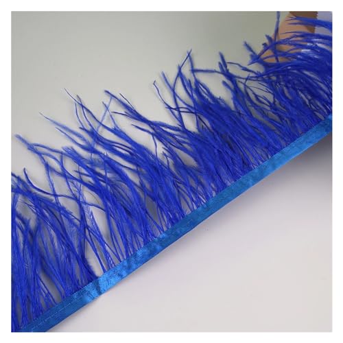 10 Meter Straußenfedern, Fransenbesatz for Handarbeiten und Kunsthandwerk, Federkleid-Zubehör, Federn, Fransen for Kleidung für Bastelarbeiten Hochzeit Party Dekoration(Royal Blue) von ZYFHYU