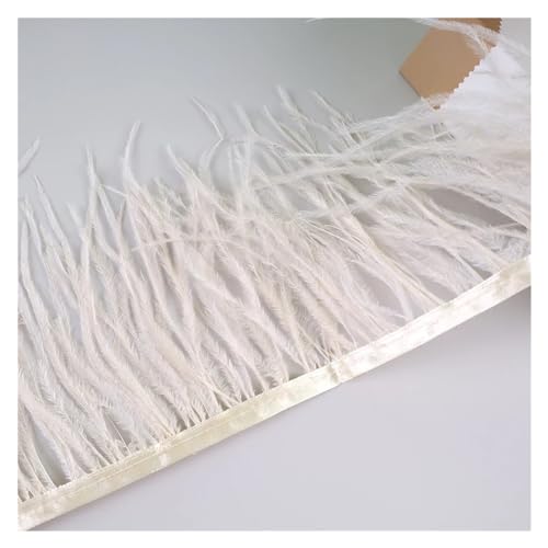 10 Meter Straußenfedern, Fransenbesatz for Handarbeiten und Kunsthandwerk, Federkleid-Zubehör, Federn, Fransen for Kleidung für Bastelarbeiten Hochzeit Party Dekoration(Shampagne) von ZYFHYU