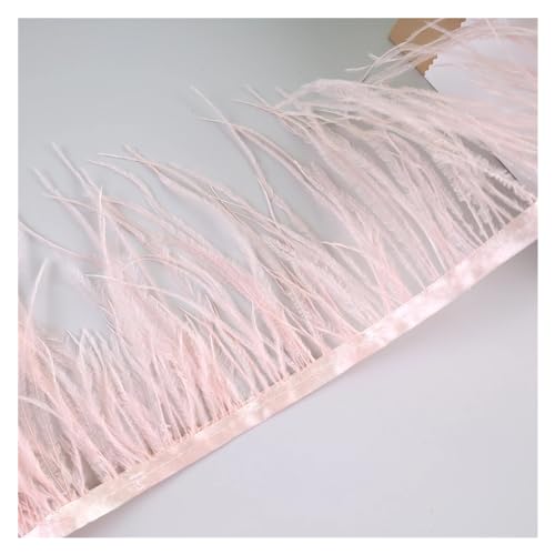 10 Meter Straußenfedern, Fransenbesatz for Handarbeiten und Kunsthandwerk, Federkleid-Zubehör, Federn, Fransen for Kleidung für Bastelarbeiten Hochzeit Party Dekoration(Shrimp pink) von ZYFHYU