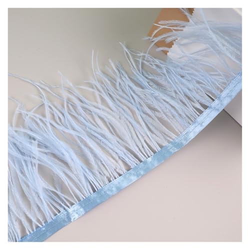 10 Meter Straußenfedern, Fransenbesatz for Handarbeiten und Kunsthandwerk, Federkleid-Zubehör, Federn, Fransen for Kleidung für Bastelarbeiten Hochzeit Party Dekoration(Sky Blue) von ZYFHYU