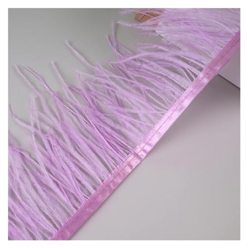 10 Meter Straußenfedern, Fransenbesatz for Handarbeiten und Kunsthandwerk, Federkleid-Zubehör, Federn, Fransen for Kleidung für Bastelarbeiten Hochzeit Party Dekoration(Violet) von ZYFHYU