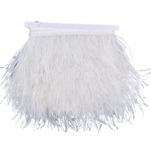 10 Meter Straußenfedern auf Band, , Fransenbesatz, 8–10 cm, Bastelzubehör, , Nähbesatz für Bastelarbeiten Hochzeit Party Dekoration(NO. 1) von ZYFHYU