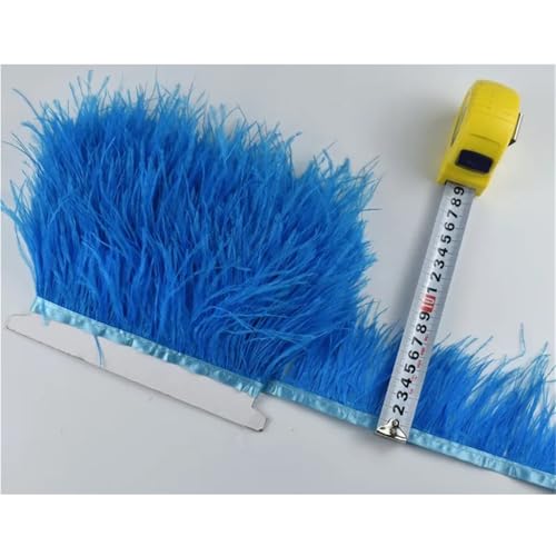 1M 5M 10M 8-10CM Straußenfedern Borten Band Rock DIY Kleidung for Basteln Federn für Bastelarbeiten Hochzeit Party Dekoration(17 Lake Blue,10 Meters) von ZYFHYU