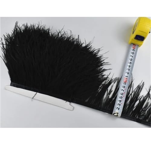 1M 5M 10M 8-10CM Straußenfedern Borten Band Rock DIY Kleidung for Basteln Federn für Bastelarbeiten Hochzeit Party Dekoration(2 Black,5 Meters) von ZYFHYU
