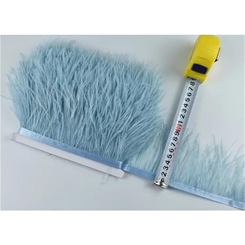 1M 5M 10M 8-10CM Straußenfedern Borten Band Rock DIY Kleidung for Basteln Federn für Bastelarbeiten Hochzeit Party Dekoration(22 Light Blue,1 Meter) von ZYFHYU