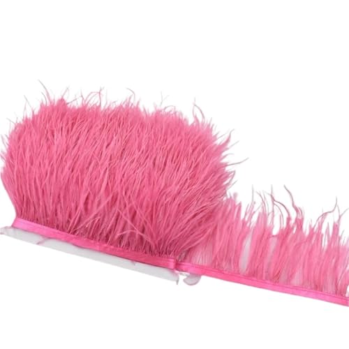 1M 5M 10M 8-10CM Straußenfedern Borten Band Rock DIY Kleidung for Basteln Federn für Bastelarbeiten Hochzeit Party Dekoration(28 Red,10 Meters) von ZYFHYU