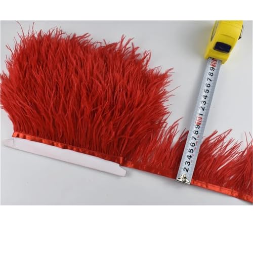 1M 5M 10M 8-10CM Straußenfedern Borten Band Rock DIY Kleidung for Basteln Federn für Bastelarbeiten Hochzeit Party Dekoration(3 Red,5 Meters) von ZYFHYU