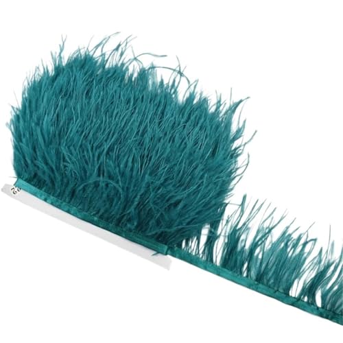 1M 5M 10M 8-10CM Straußenfedern Borten Band Rock DIY Kleidung for Basteln Federn für Bastelarbeiten Hochzeit Party Dekoration(30 Sky Blue,10 Meters) von ZYFHYU