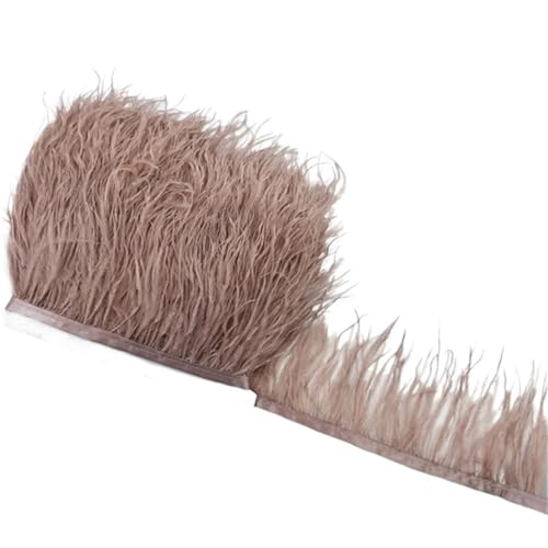 1M 5M 10M 8-10CM Straußenfedern Borten Band Rock DIY Kleidung for Basteln Federn für Bastelarbeiten Hochzeit Party Dekoration(31 Light Brown,5 Meters) von ZYFHYU