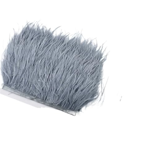 1M 5M 10M 8-10CM Straußenfedern Borten Band Rock DIY Kleidung for Basteln Federn für Bastelarbeiten Hochzeit Party Dekoration(5 Silver Gray,1 Meter) von ZYFHYU