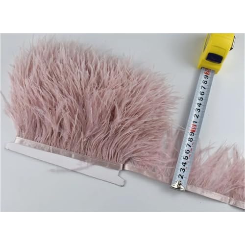 1M 5M 10M 8-10CM Straußenfedern Borten Band Rock DIY Kleidung for Basteln Federn für Bastelarbeiten Hochzeit Party Dekoration(6,10 Meters) von ZYFHYU