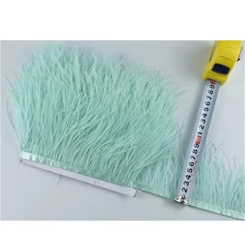 1M 5M 10M 8-10CM Straußenfedern Borten Band Rock DIY Kleidung for Basteln Federn für Bastelarbeiten Hochzeit Party Dekoration(8 Green,10 Meters) von ZYFHYU