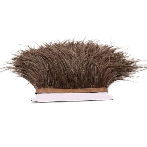 1M 5M 10M 8-10cm Straußenfederborte Band Mehrfarbige Feder for Nähen von Federn Basteln Kleid Kleidung Dekoration für Bastelarbeiten Hochzeit Party Dekoration(Deep Coffee,5M) von ZYFHYU