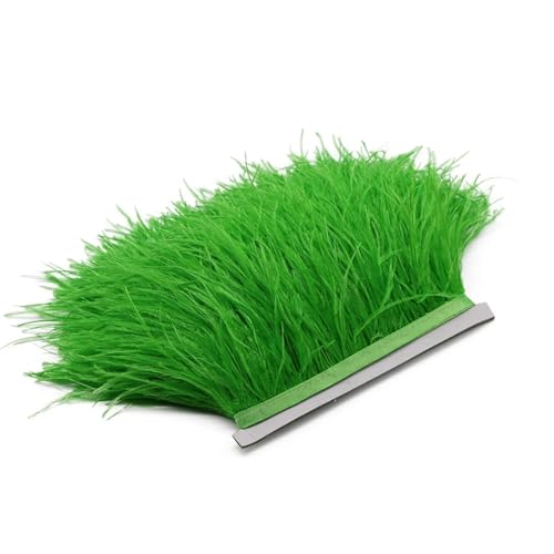 1M 5M 10M 8-10cm Straußenfederborte Band Mehrfarbige Feder for Nähen von Federn Basteln Kleid Kleidung Dekoration für Bastelarbeiten Hochzeit Party Dekoration(Green,1m) von ZYFHYU