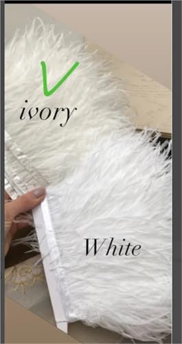 1M 5M 10M 8-10cm Straußenfederborte Band Mehrfarbige Feder for Nähen von Federn Basteln Kleid Kleidung Dekoration für Bastelarbeiten Hochzeit Party Dekoration(Ivory,10m) von ZYFHYU