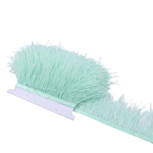 1M 5M 10M 8-10cm Straußenfederborte Band Mehrfarbige Feder for Nähen von Federn Basteln Kleid Kleidung Dekoration für Bastelarbeiten Hochzeit Party Dekoration(Mint Green,5M) von ZYFHYU