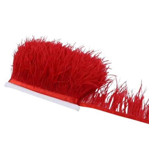 1M 5M 10M 8-10cm Straußenfederborte Band Mehrfarbige Feder for Nähen von Federn Basteln Kleid Kleidung Dekoration für Bastelarbeiten Hochzeit Party Dekoration(Red,10m) von ZYFHYU