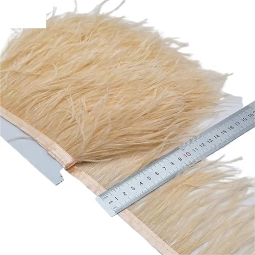 2/5/10 Yards Straußenfederband Straußenfedern Trim Fransen Kleidung Dekoration für Bastelarbeiten Hochzeit Party Dekoration(Champagne,2 Yards) von ZYFHYU