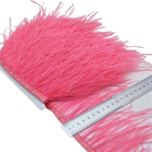 2/5/10 Yards Straußenfederband Straußenfedern Trim Fransen Kleidung Dekoration für Bastelarbeiten Hochzeit Party Dekoration(Color3,10 Yards) von ZYFHYU