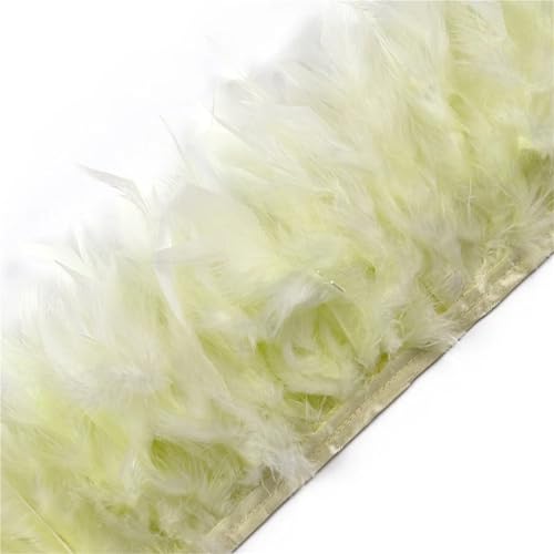 2 Meter Federbesatz, Fransen, Höhe 10–15 cm, Hochzeit, Kleidung, Kleid, Dekoration, DIY, Federband, Nähen, Basteln für Bastelarbeiten Hochzeit Party Dekoration(Orange) von ZYFHYU