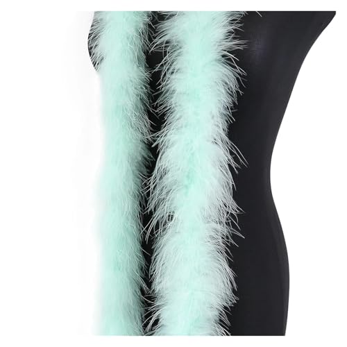 20 Gramm Truthahnfedern, weicher Federschal for Hochzeit, Kleidung, Dekoration, Schal, 2 Meter Federnbesatz für Bastelarbeiten Hochzeit Party Dekoration(Mint Green) von ZYFHYU