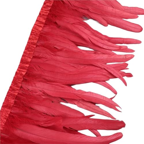 25–30 cm Hahnenfederbesatz, Hühnerfedern, Besatz, Hahnenschwanzfeder, Band, Kleid, Rock, Kostüm, Karneval, Dekoration für Bastelarbeiten Hochzeit Party Dekoration(16,10 Yards) von ZYFHYU