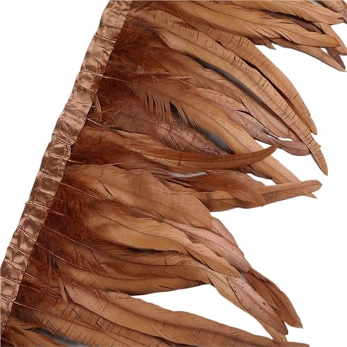 25–30 cm Hahnenfederbesatz, Hühnerfedern, Besatz, Hahnenschwanzfeder, Band, Kleid, Rock, Kostüm, Karneval, Dekoration für Bastelarbeiten Hochzeit Party Dekoration(21,10 Yards) von ZYFHYU