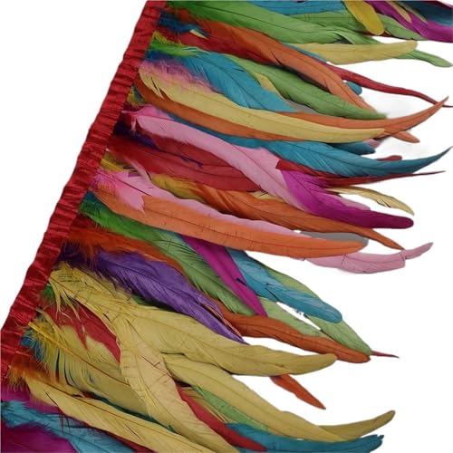 25–30 cm Hahnenfederbesatz, Hühnerfedern, Besatz, Hahnenschwanzfeder, Band, Kleid, Rock, Kostüm, Karneval, Dekoration für Bastelarbeiten Hochzeit Party Dekoration(26,2 Yards) von ZYFHYU