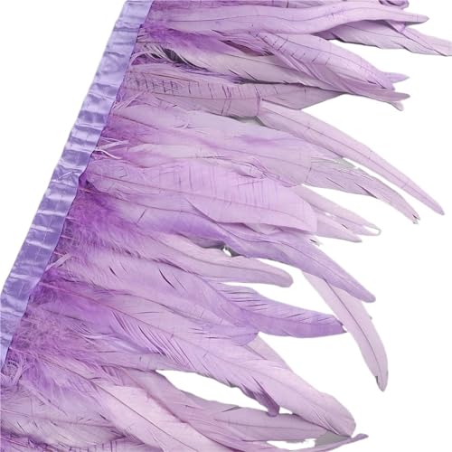 25–30 cm Hahnenfederbesatz, Hühnerfedern, Besatz, Hahnenschwanzfeder, Band, Kleid, Rock, Kostüm, Karneval, Dekoration für Bastelarbeiten Hochzeit Party Dekoration(5,2 Yards) von ZYFHYU