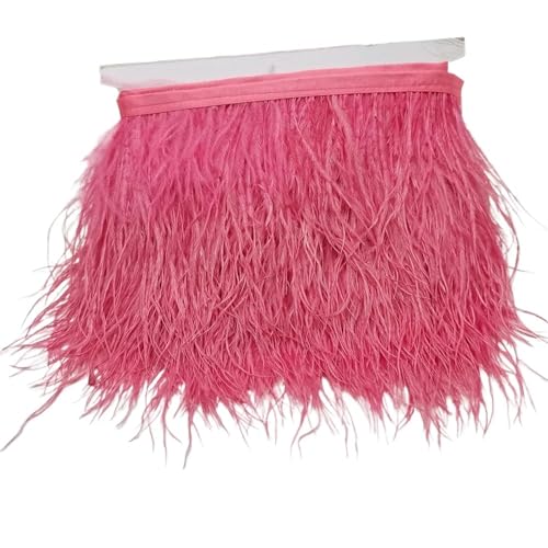 5/10 Yards Straußenfederband, Länge 8–10 cm, Federbesatz, Fransen, DIY-Kostüme, Nähen, Kleidungszubehör für Bastelarbeiten Hochzeit Party Dekoration(C27,5 Yards) von ZYFHYU