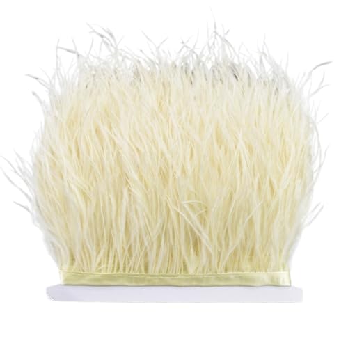 8–10 cm Straußenfederbesatz for Handarbeiten und Kunsthandwerk, Federrockdekoration, Federn, Bandfransen für Bastelarbeiten Hochzeit Party Dekoration(Beige,1Meter) von ZYFHYU