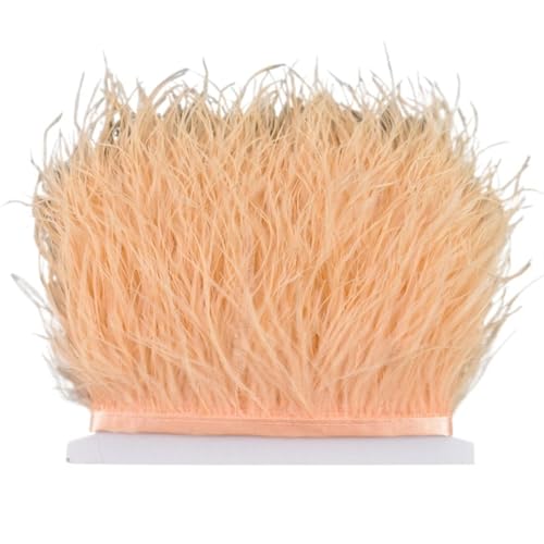 8–10 cm Straußenfederbesatz for Handarbeiten und Kunsthandwerk, Federrockdekoration, Federn, Bandfransen für Bastelarbeiten Hochzeit Party Dekoration(Champagne,10Meters) von ZYFHYU