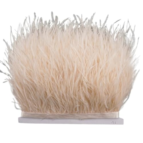 8–10 cm Straußenfederbesatz for Handarbeiten und Kunsthandwerk, Federrockdekoration, Federn, Bandfransen für Bastelarbeiten Hochzeit Party Dekoration(Color10,10Meters) von ZYFHYU