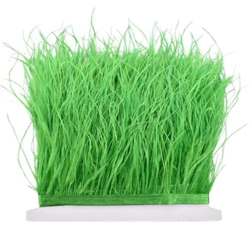8–10 cm Straußenfederbesatz for Handarbeiten und Kunsthandwerk, Federrockdekoration, Federn, Bandfransen für Bastelarbeiten Hochzeit Party Dekoration(Green,10Meters) von ZYFHYU
