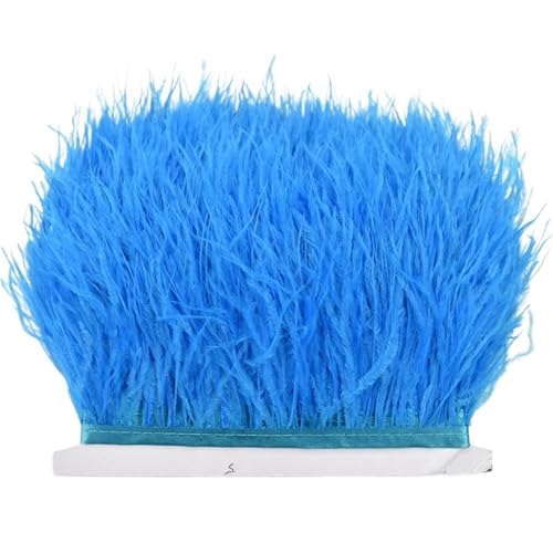 8–10 cm Straußenfederbesatz for Handarbeiten und Kunsthandwerk, Federrockdekoration, Federn, Bandfransen für Bastelarbeiten Hochzeit Party Dekoration(Lake Blue,1Meter) von ZYFHYU