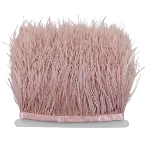8–10 cm Straußenfederbesatz for Handarbeiten und Kunsthandwerk, Federrockdekoration, Federn, Bandfransen für Bastelarbeiten Hochzeit Party Dekoration(Leather pink,5Meters) von ZYFHYU