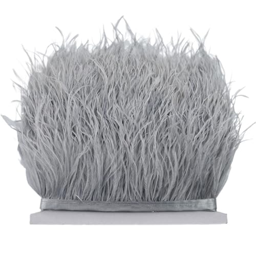 8–10 cm Straußenfederbesatz for Handarbeiten und Kunsthandwerk, Federrockdekoration, Federn, Bandfransen für Bastelarbeiten Hochzeit Party Dekoration(Light Grey,10Meters) von ZYFHYU