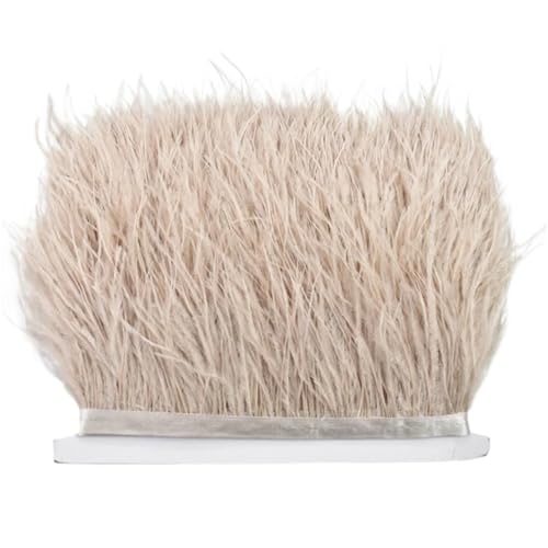 8–10 cm Straußenfederbesatz for Handarbeiten und Kunsthandwerk, Federrockdekoration, Federn, Bandfransen für Bastelarbeiten Hochzeit Party Dekoration(Light Light Brown,10Meters) von ZYFHYU
