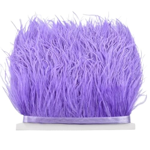8–10 cm Straußenfederbesatz for Handarbeiten und Kunsthandwerk, Federrockdekoration, Federn, Bandfransen für Bastelarbeiten Hochzeit Party Dekoration(Light Purple,10Meters) von ZYFHYU