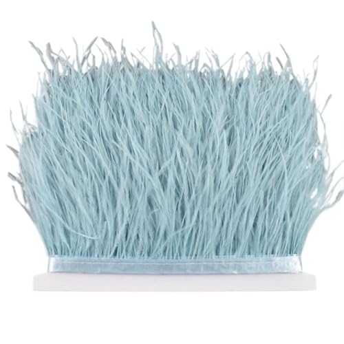 8–10 cm Straußenfederbesatz for Handarbeiten und Kunsthandwerk, Federrockdekoration, Federn, Bandfransen für Bastelarbeiten Hochzeit Party Dekoration(Light Sky Blue,10Meters) von ZYFHYU