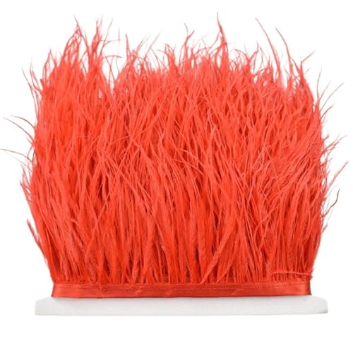 8–10 cm Straußenfederbesatz for Handarbeiten und Kunsthandwerk, Federrockdekoration, Federn, Bandfransen für Bastelarbeiten Hochzeit Party Dekoration(Red,5Meters) von ZYFHYU