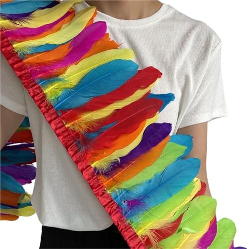 Gänsefederbesatz, 2 m, natürliche, Flauschige Federfransen, Länge 15–20 cm, DIY-Kostüm-Rock-Dekoration für Bastelarbeiten Hochzeit Party Dekoration(Mix Color) von ZYFHYU