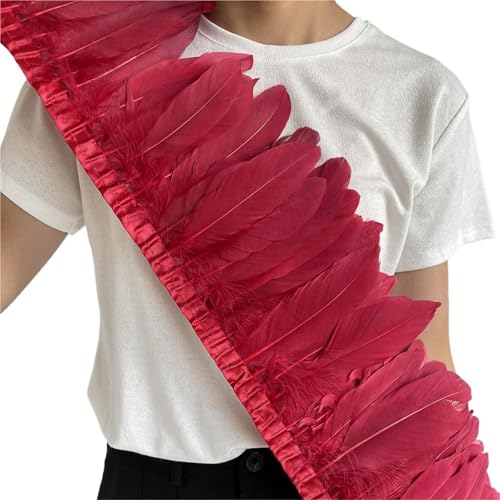 Gänsefederbesatz, 2 m, natürliche, Flauschige Federfransen, Länge 15–20 cm, DIY-Kostüm-Rock-Dekoration für Bastelarbeiten Hochzeit Party Dekoration(Wine red) von ZYFHYU
