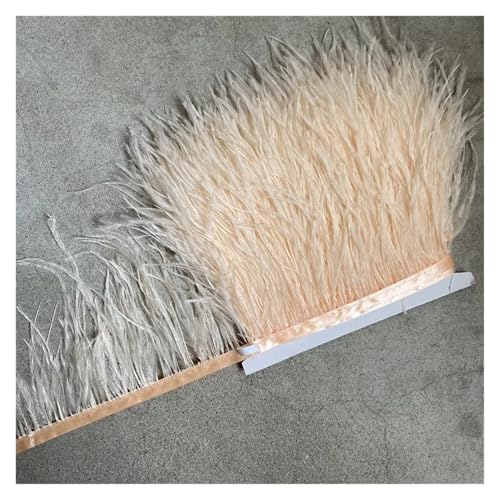 Straußenfederbesatz, Fransenfederband, 10–15 cm breit, Nähen, Basteln, Kostüme, Dekoration für Bastelarbeiten Hochzeit Party Dekoration(Champagne,10 Yards) von ZYFHYU