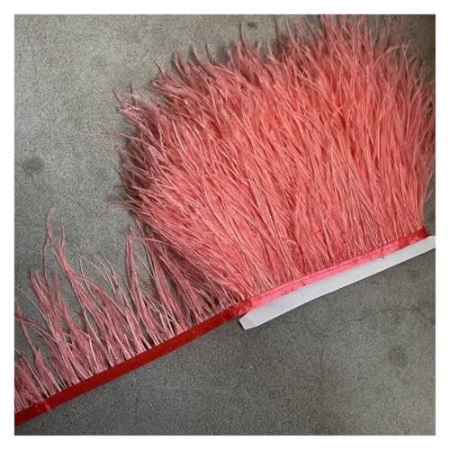 Straußenfederbesatz, Fransenfederband, 10–15 cm breit, Nähen, Basteln, Kostüme, Dekoration für Bastelarbeiten Hochzeit Party Dekoration(Orange,5 Yards) von ZYFHYU